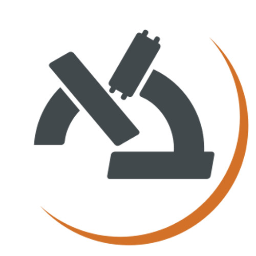 Bar Ilan Logo
